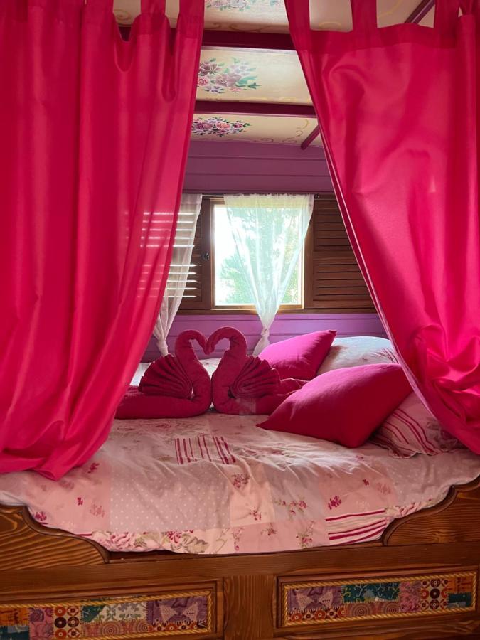 Vakantiehuis Appel Du Luberon *